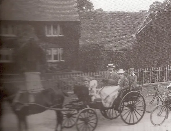 Horse and carriage